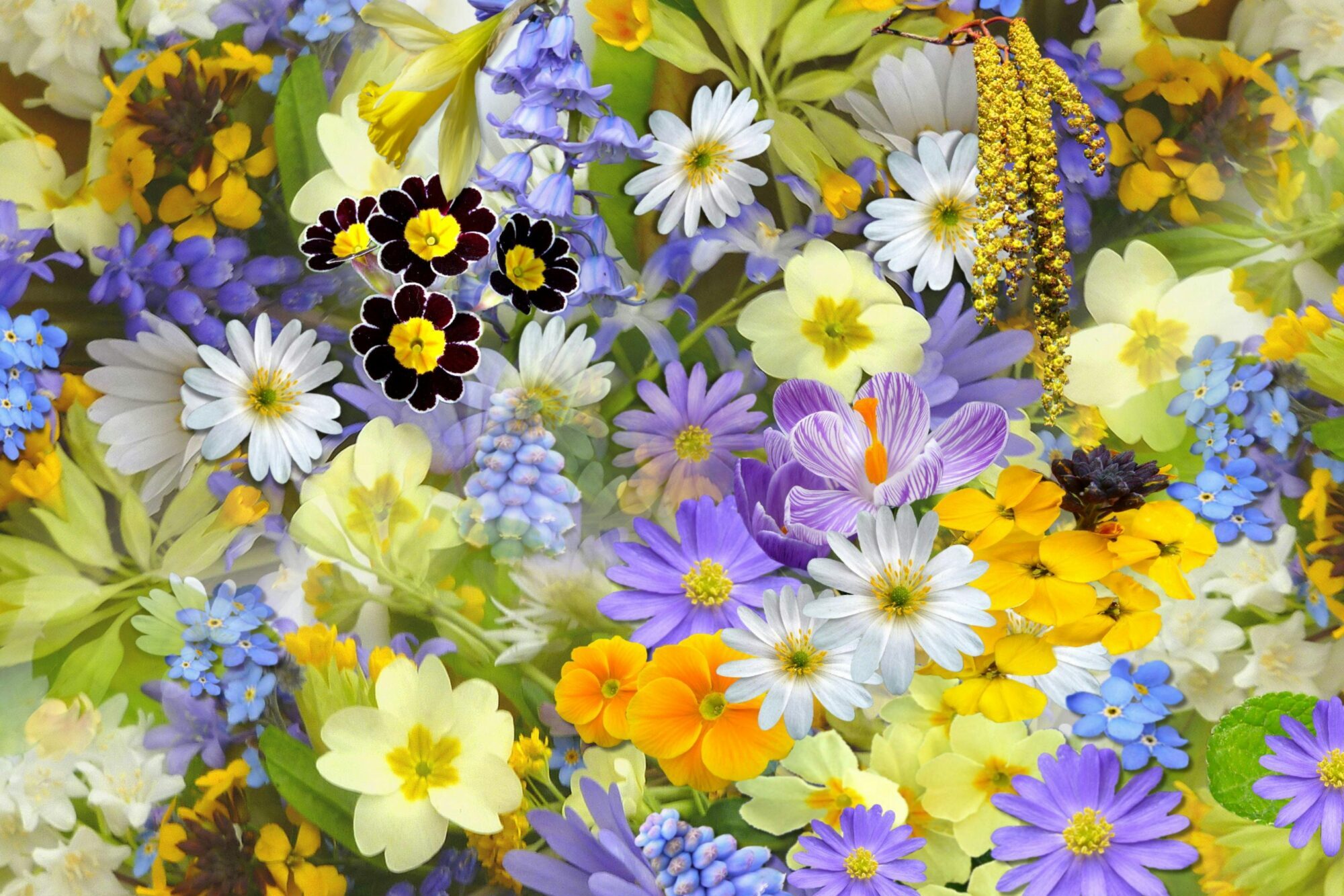 A colorful assortment of spring flowers, showcasing a vivid mix of colors and blooms.